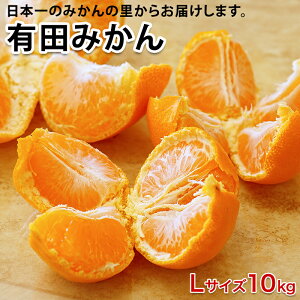 2025N \Jn _AR̃}`͔|ōLc݂ STCY MTCX LTCY 3kg 5kg 10kg ÂĔ ō ~O ƒp Lc݂ v[g Ԃ  