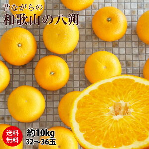 yII4,320~A7,560~z2026N \Jna̎R̔inbTNj5kg 10kg _EL@엿͔| yz M~2LTCY 5kgi16-23ʁj/10kg (32-40) ʕ t[c ͂