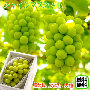 2025N \Jn VC}XJbg 500gi1[jyzꕔn嗱EȂE炲ƐHׂԂǂIx17xȏI uhE Ԃǂ nEX͔| 