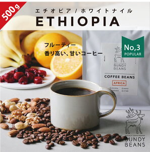 500gG`IsA/ETHIOPIA  i` R[q[Mtg XyVeBR[q[ R[q[ Mtg  JtFI gift JtFIx[X  lC R[q[MtgZbg MtgZbg 