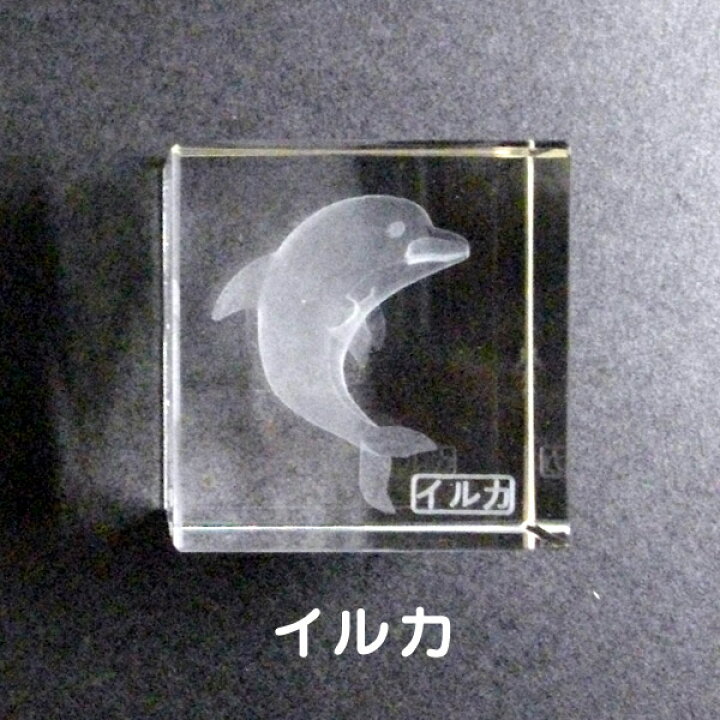 楽天市場】クリスタル 文鎮『イルカ』/立方型ペーパーウェイト）【3D 