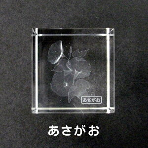 【お買い物マラソン★ポイント最大10倍】クリスタル 文鎮『あさがお』/立方型ペーパーウェイト)【3Dクリスタル】4cm角 キューブ型