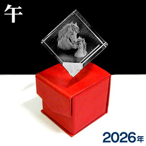 yVzNX^xw߁x^y[p[EFCgy3DNX^zHO3411 L[u^ 2026N n