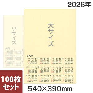yViz2026N ̎q J_[ [] 100Zbgy/nzZA12-1