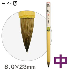 絵筆/隈取(中)/水墨画 画筆【一休園】【メール便対応】