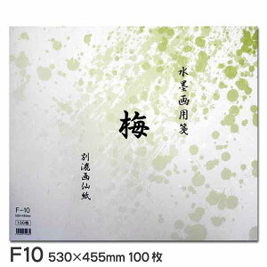 ���n��p� �~ F10�i100������j