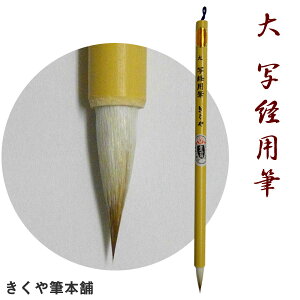  ʌopM/Myzy[֑Ήz ӂ ʌo MyRCPz