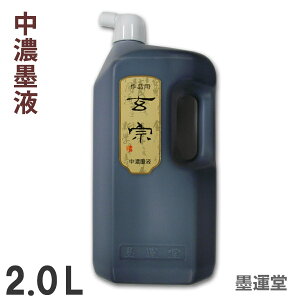 yZnz@ Znt 2.0L ip ntyn^z11810 t Z