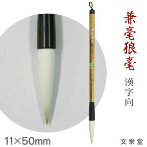 |T| / yhzyy[֑Ήz M ӂ