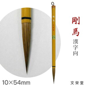 yX[p[Z[ |Cgő10{zn / yhzyy[֑Ήz M ӂ