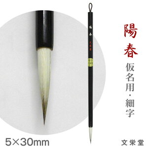 yX[p[Z[ |Cgő10{zzt / pE׎yhzyy[֑Ήz M ӂ