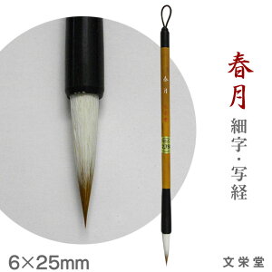 t / ׎Eʌoyhzyy[֑Ήz M ӂ