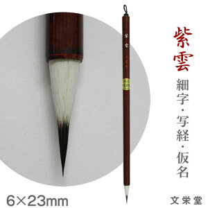 _ / ׎EʌoEyhzyy[֑Ήz M ӂ