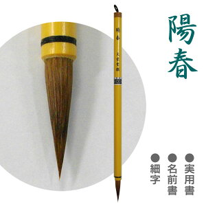 zt/׎ w O p/C^` n yhz