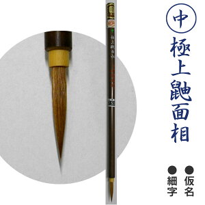 @ɏꌖʑ/C^`yhM-V zy[֑Ήz M ӂ K 