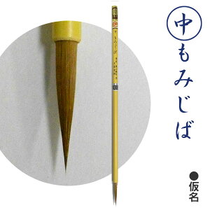 E݂/C^`yhMzy[֑Ήz M ӂ K 