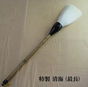 @C 50x205  n ni  w l