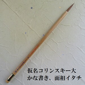 RXL[() ȂE׎ C^`| FőM w l