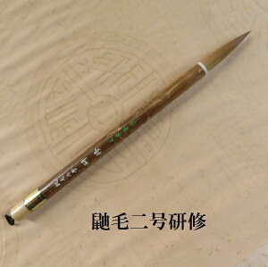 ꌖѓ񍆌C(񂵂イ) C^`ь| Es FM w l