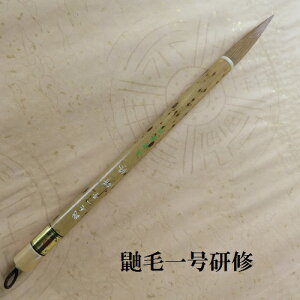 ꌖшꍆC(񂵂イ) EsE@C^`ь| FőM w l