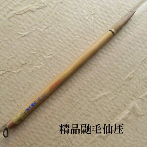 iꌖѐU(񂪂)/C^`ь|/Es/FőM/w/l