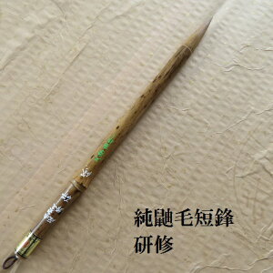 純鼬毛短鋒研修(けんしゅう)/イタチ兼毫筆/篆書・隷書・楷書/熊野で造る筆/学生/大人