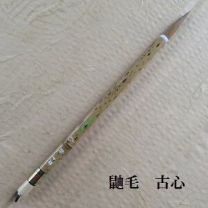 ꌖьÐS()/C^`|/Es//FőM/w/l