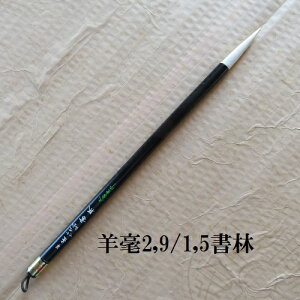 r|2,9/1,5сij/rь|/sE//MLM/w/l