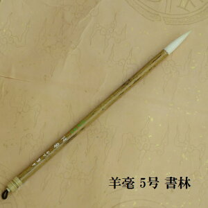 r|5 сij/rь|/sE/FM/w/l