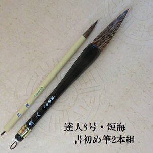 Bl()8EZC(񂩂j {g |M ߁E𕝕M M w w