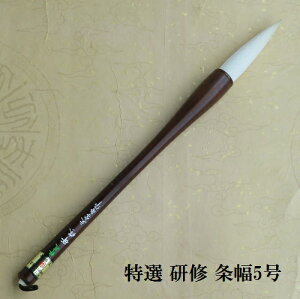 IC(񂵂イ)5 r| Fő鏑M w l