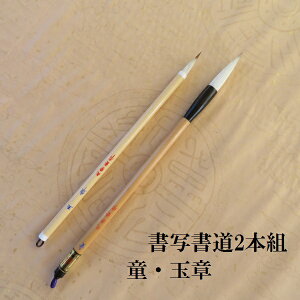 | (񂲂)Eʏ/ʏ/|M/{g/K/̌FM/w/w/w