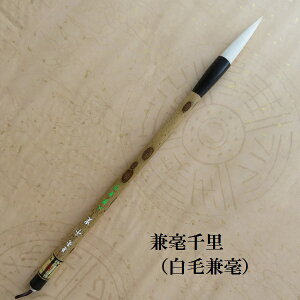 |痢i񂲂j |M EsE  K w l