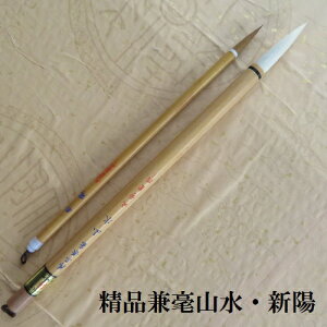 i|R(񂷂)EVz(悤)@2{g@rь|M@sE@FM@wEl