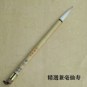 i|(񂶂)/|M/Es/FőM /w/l