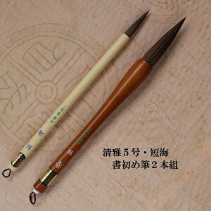 M ()5EZC(񂩂)/{g/|M//߁E/Es/M/w/w