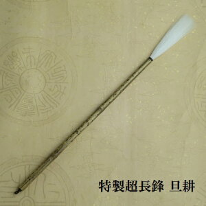 NUki񂱂jVM sE  ni ̕M w l