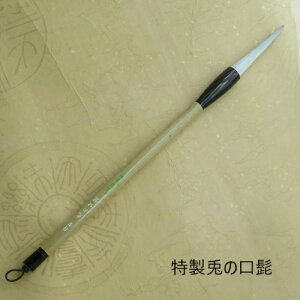 ěEiETM̂ЂjnipEEiM ѕM L w l