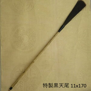  V11x170(날܂j/sE/ni/FM/w/l