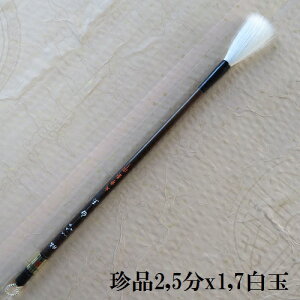 i2,5/1,7ʁi炽܁j/Lт̕M/sE/ni/FőM/w/l