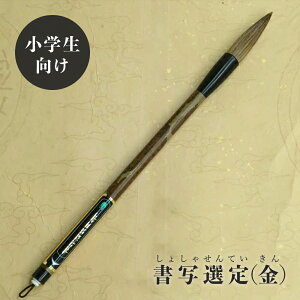 ʑI(債ႹĂ)pM 葢茓|M Es K Fő鏑ʏM w w