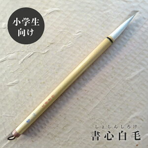 Si債j/|M/Es/Fő鏑M/w/w/w
