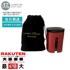 �y���K�i�z�A�f�����X �r���[�X�e�[�W �`���[�W �v���~�A�� �|�[�^�u�� ���f�����@ ��������