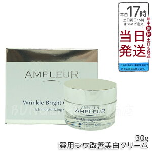 AMPLEUR Av[ pNuCgN[ 򕔊Oi 30g iCAVA~h CICA Z~h R[Q e N[ ێ hN^[YRX V~ V n { nChLm 