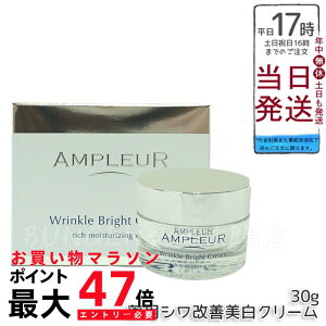 AMPLEUR Av[ pNuCgN[ 򕔊Oi 30g iCAVA~h CICA Z~h R[Q e N[ ێ hN^[YRX V~ V n { nChLm 