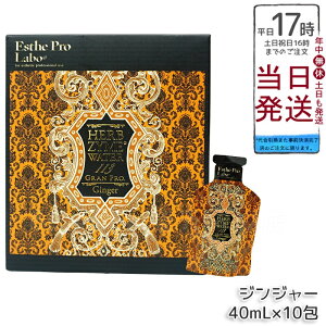 GXevE{ n[uUCEH[^[ 113GP 40ml×10 WW[ n[uhN gѕ֗ tbV