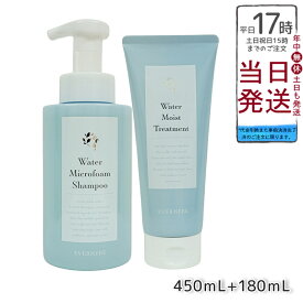 エバメール ウォーターマイクロフォームシャンプー 450mL & ウォーターモイストトリートメント 180mL セット EVER MERE 低刺激 洗浄力 ヘッドスパ 頭皮ケア