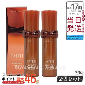 【2本セット】FAITH 化粧品 保湿クリーム 顔 FAITH フェース LAMELLAR MODE ラメラモード エナジー ゲル 保湿ジェルクリーム R 30g 正規品