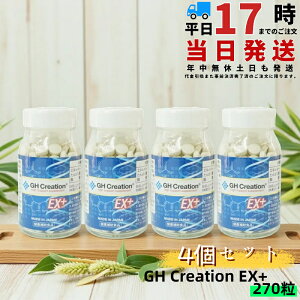 GH Creation EX+ 270 W[GC` NG[VEX vX j[A 300mg270 y4Zbgzܖ2028N5NT|[gTvg {
