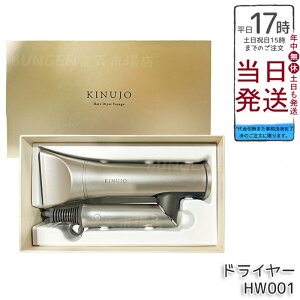  KINUJO wAhC[ COΉ {[W Hair Dryer Voyage HW001 COΉ 啗 y ԊO }CiXCI RpNg